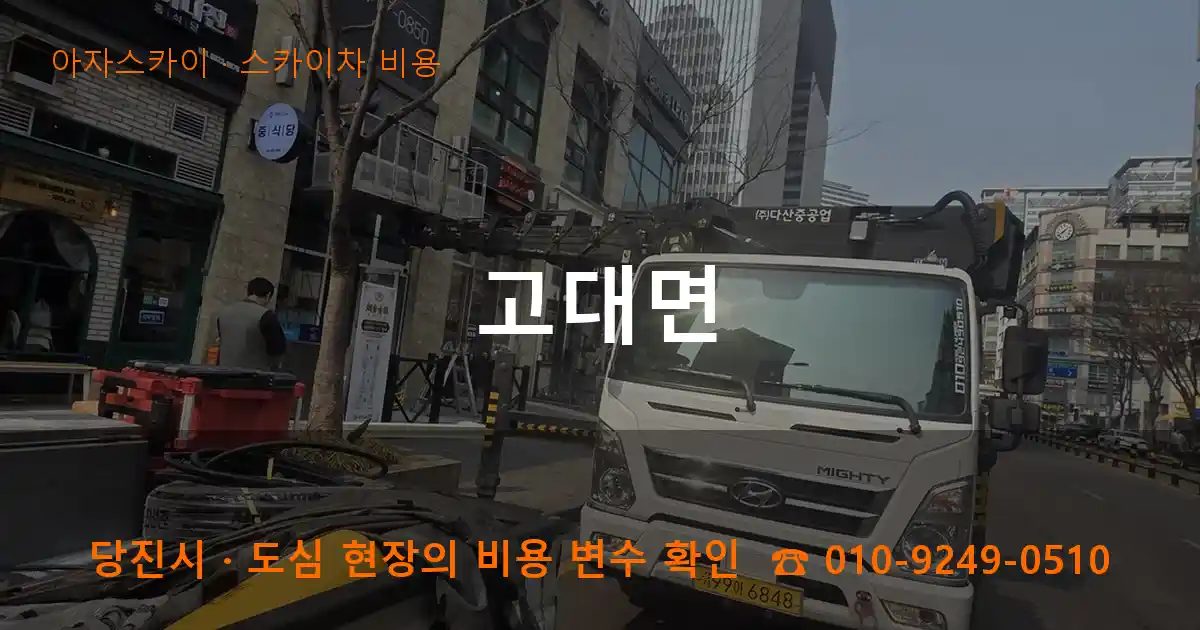 당진시 고대면 스카이차 비용 작업