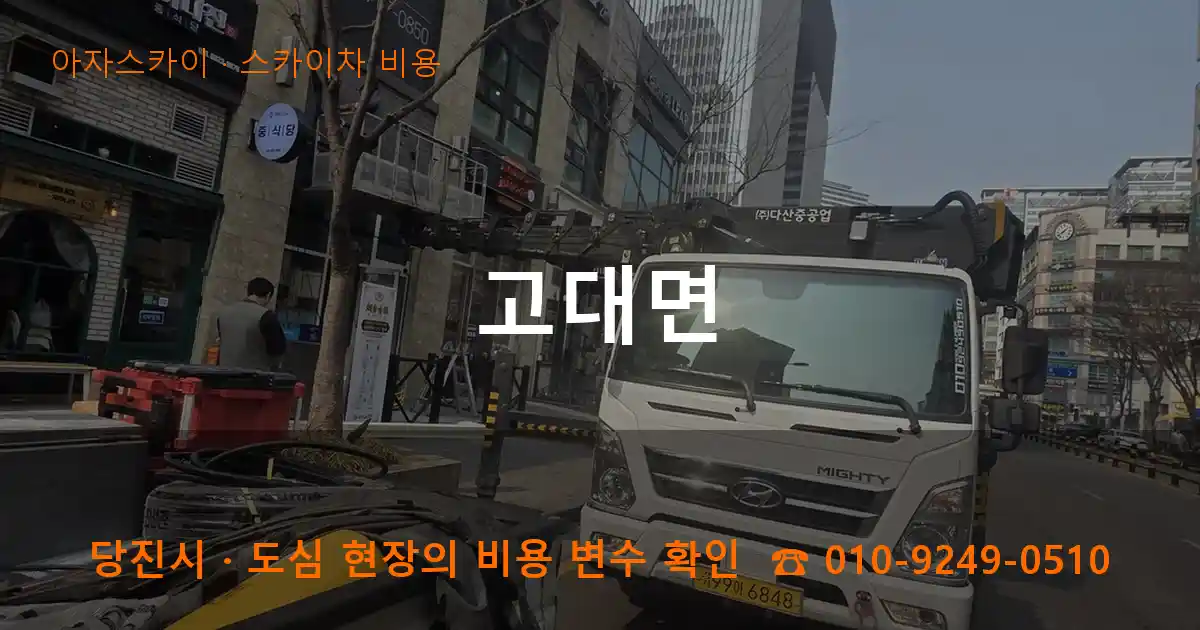 당진시 고대면 스카이차 비용 작업