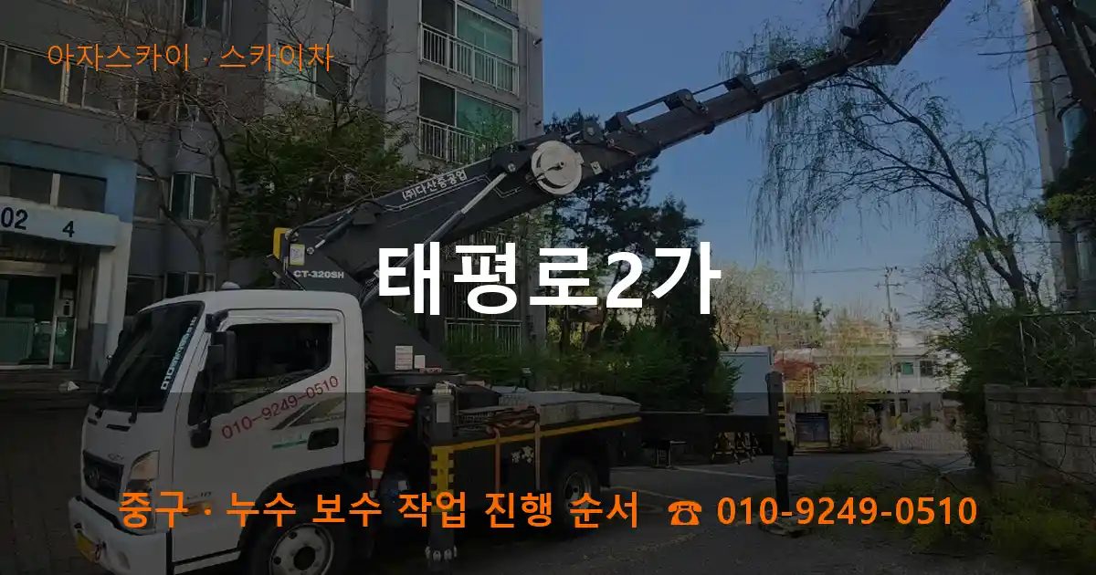 중구 태평로2가 스카이차 작업