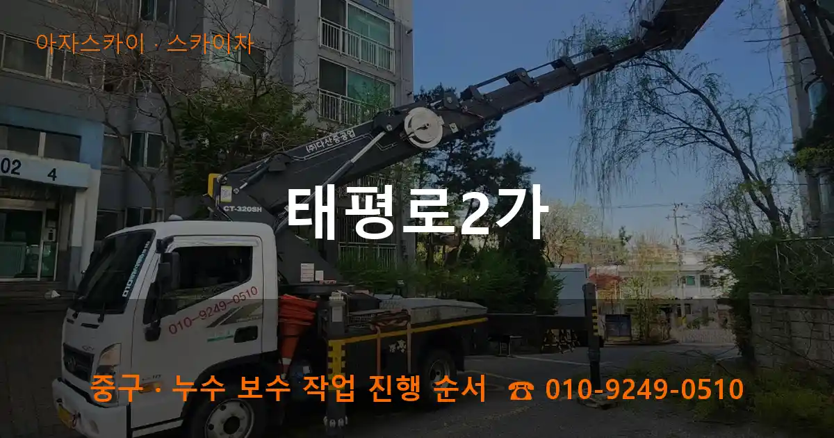 중구 태평로2가 스카이차 작업
