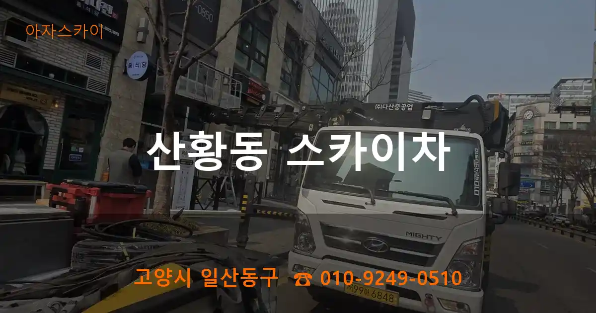 고양시 일산동구 산황동 스카이차