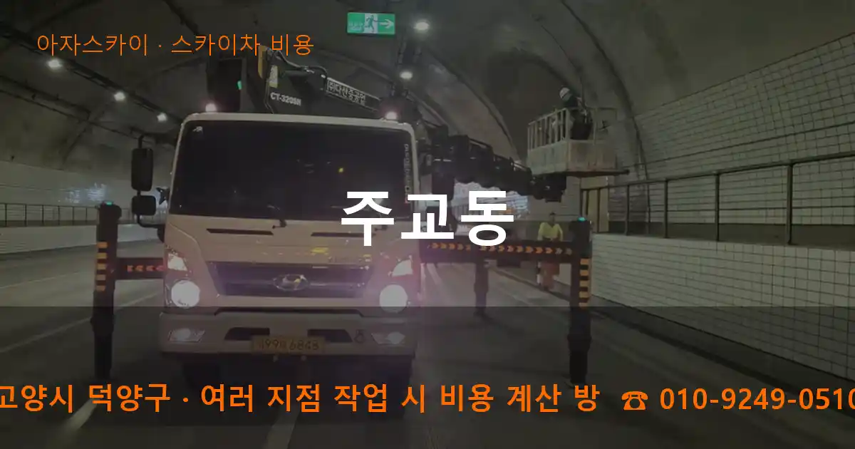 고양시 덕양구 주교동 스카이차 비용 작업
