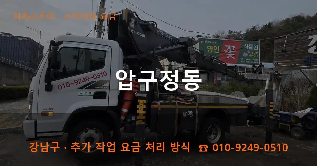 강남구 압구정동 스카이차 요금 작업