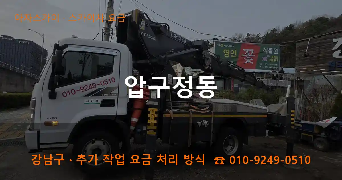강남구 압구정동 스카이차 요금 작업