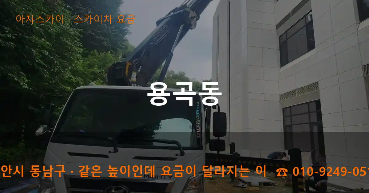 천안시 동남구 용곡동 스카이차 요금 작업