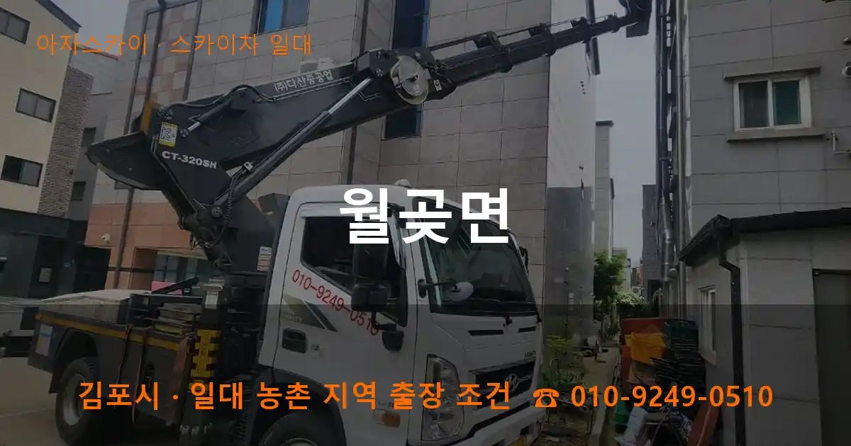 김포시 월곶면 스카이차 출장 작업