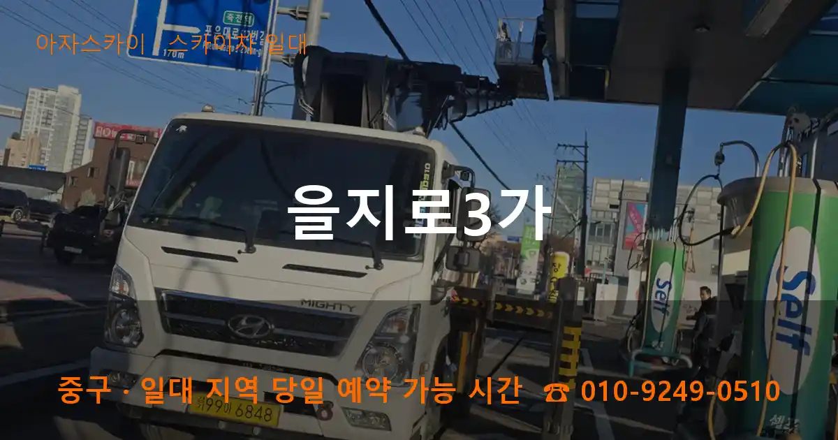 중구 을지로3가 스카이차 출장 작업