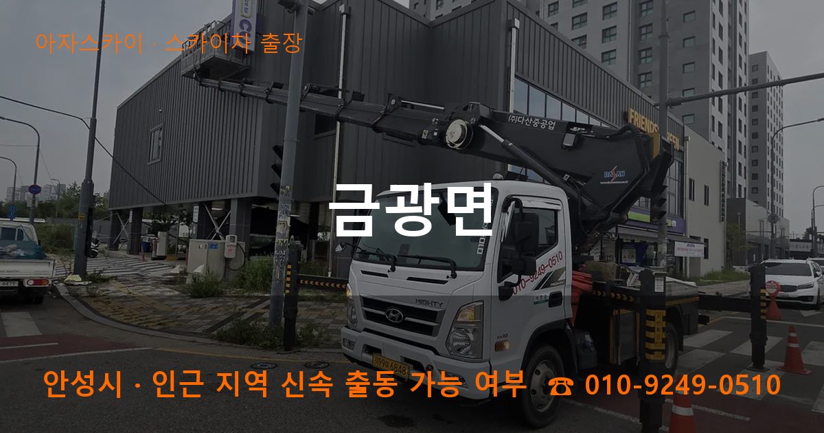 안성시 금광면 스카이차 출장 작업