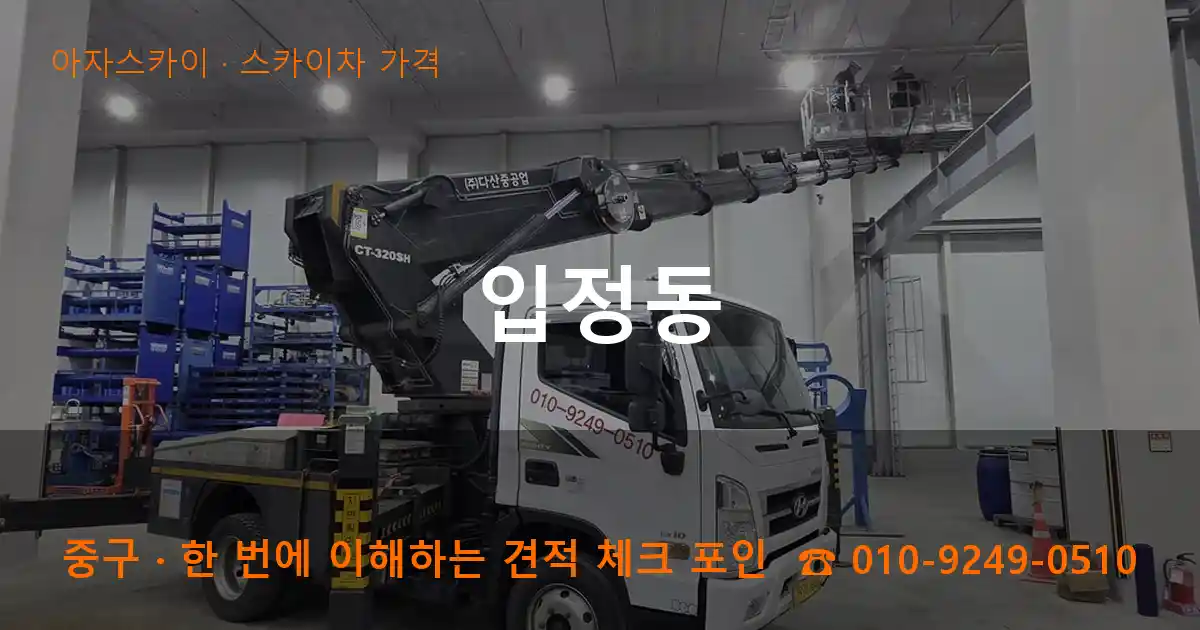중구 입정동 스카이차 가격 작업