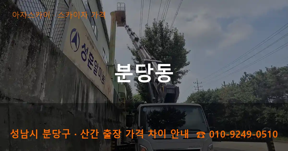 성남 분당구 분당동 스카이차 가격 작업
