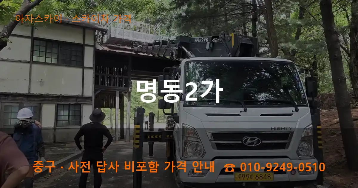 중구 명동2가 스카이차 가격 작업