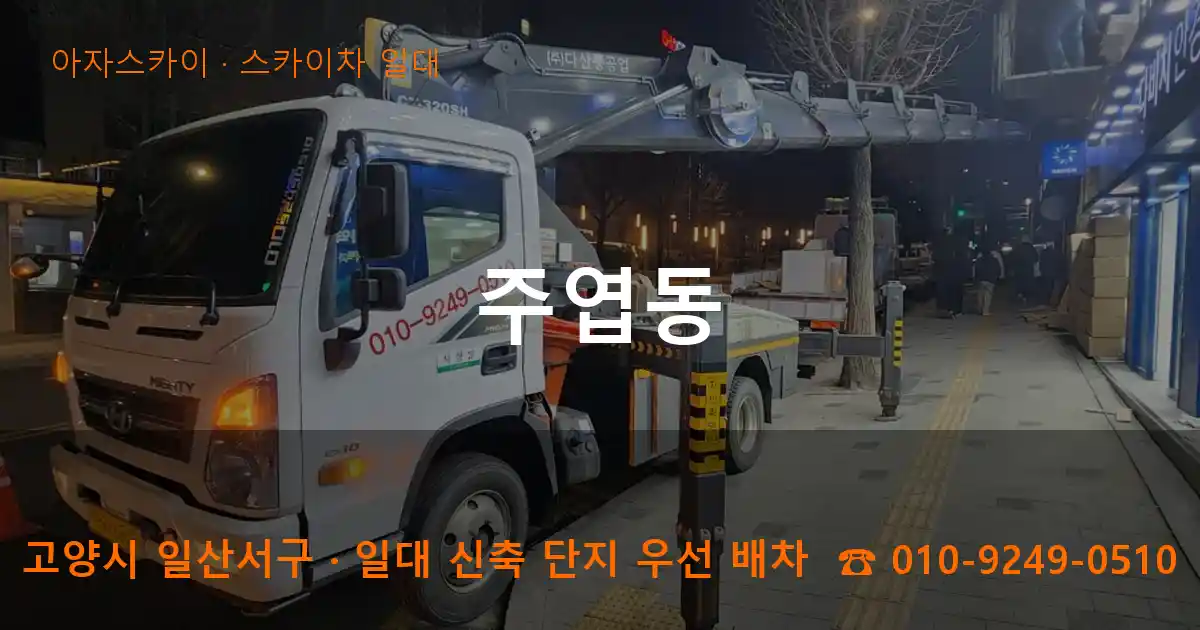 고양 일산서구 주엽동 스카이차 일대 작업
