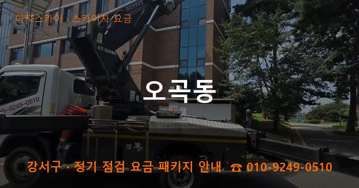 강서구 오곡동 스카이차 요금 작업