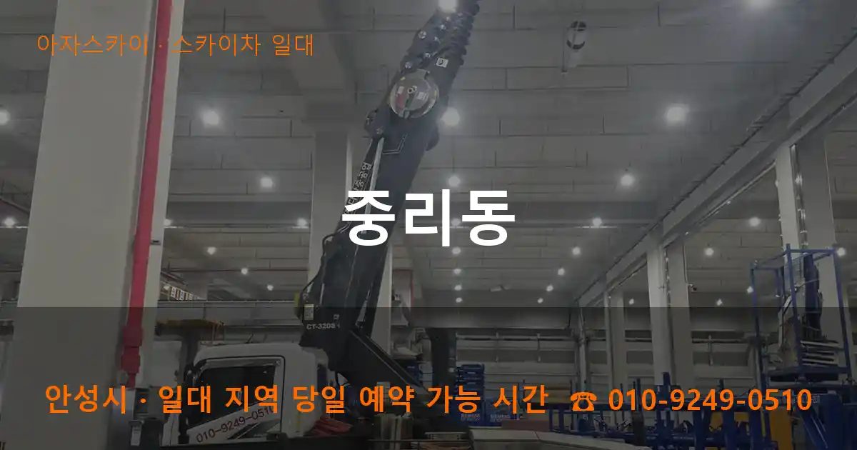 안성시 중리동 스카이차 출장 작업