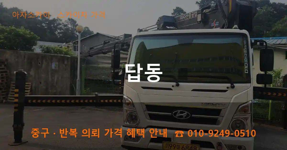 중구 답동 스카이차 가격 작업
