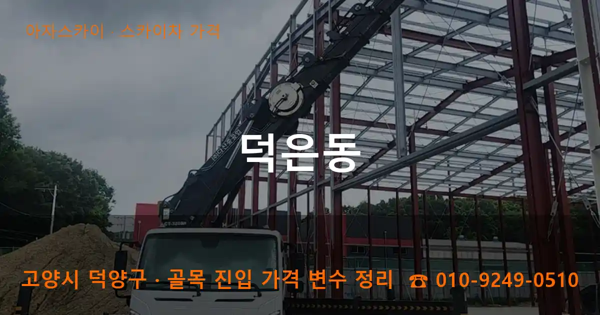 고양 덕양구 덕은동 스카이차 가격 작업