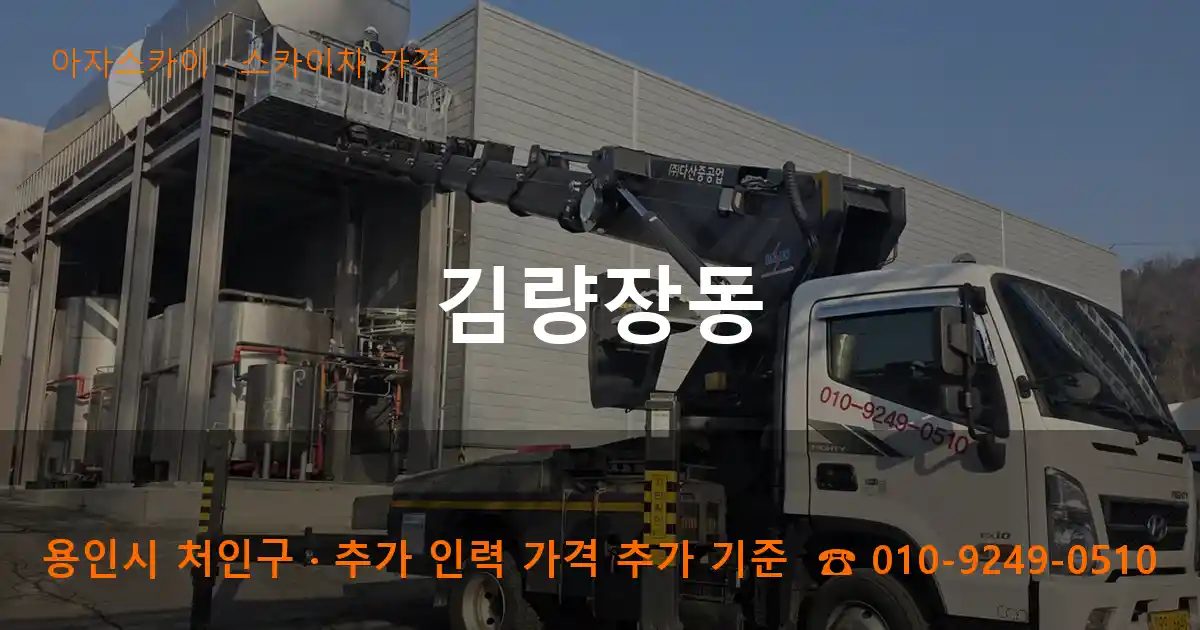 용인시 처인구 김량장동 스카이차 가격 작업