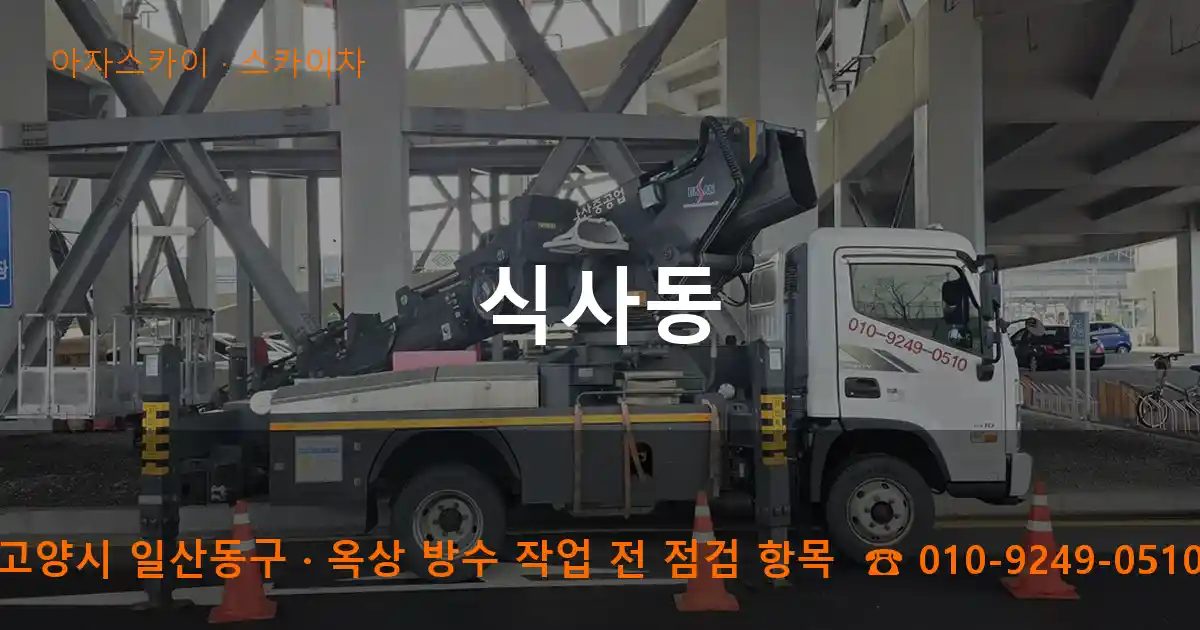 고양시 일산동구 식사동 스카이차 작업