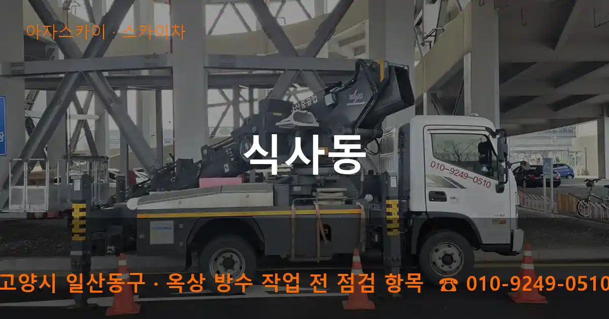 고양시 일산동구 식사동 스카이차 작업