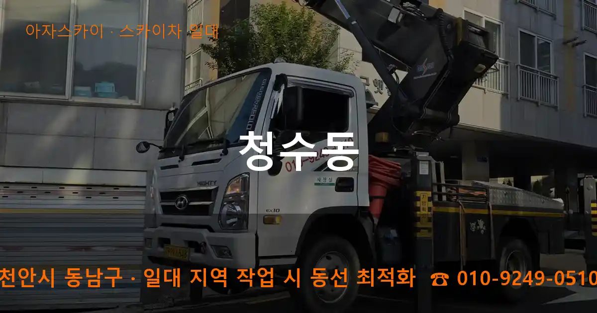 천안시 동남구 청수동 스카이차 출장 작업