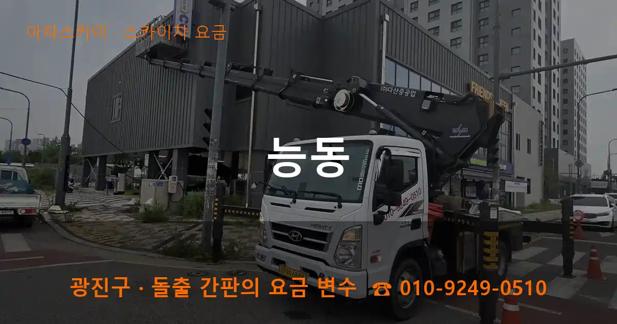 광진구 능동 스카이차 요금 작업