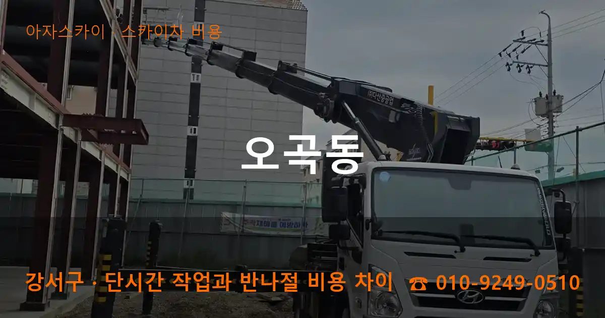 강서구 오곡동 스카이차 비용 작업
