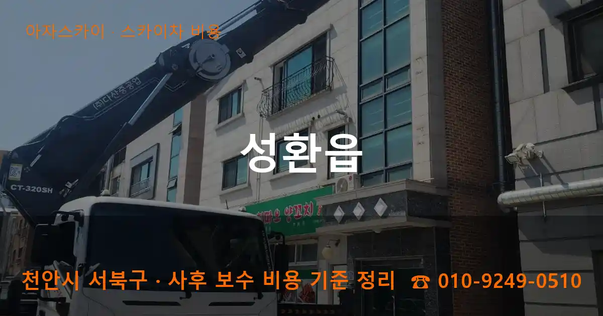 천안 서북구 성환읍 스카이차 비용 작업