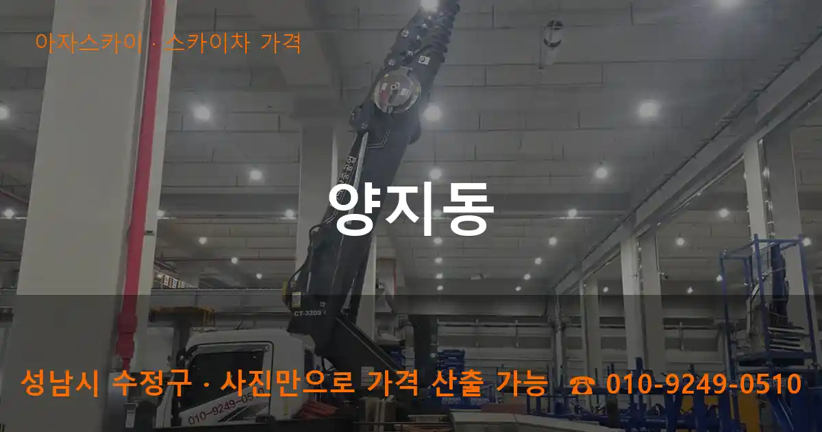 성남 수정구 양지동 스카이차 가격 작업