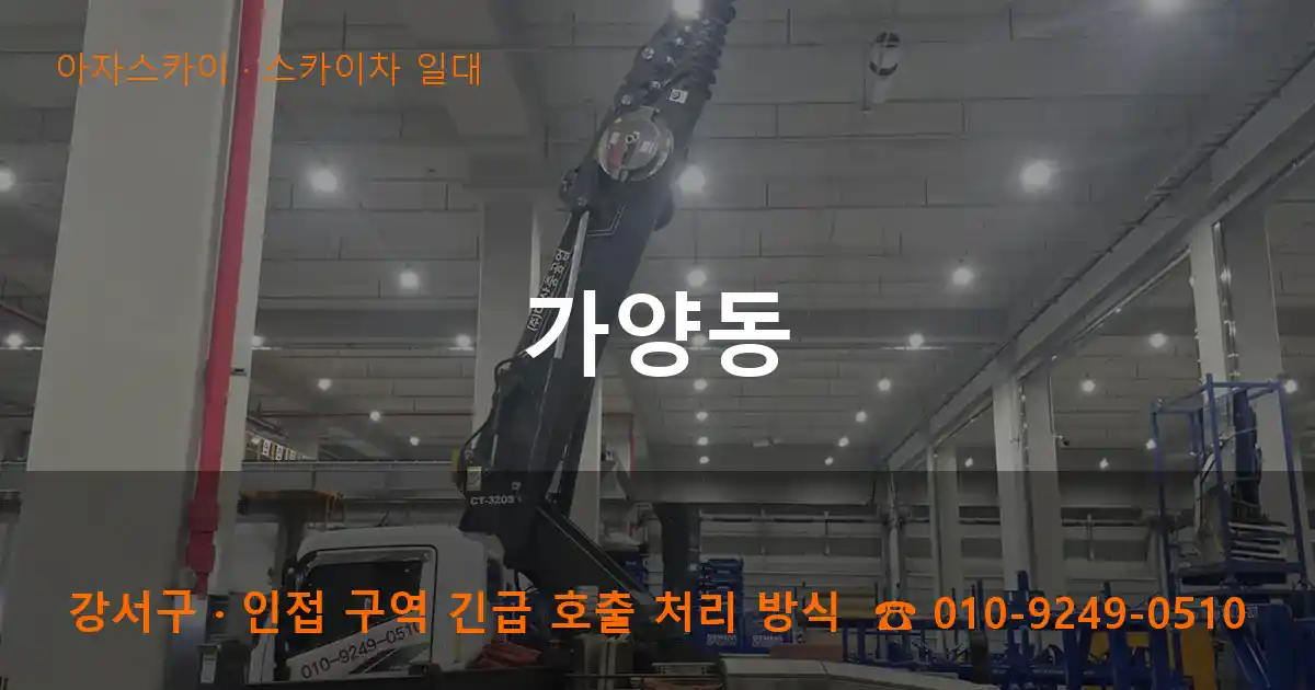 강서구 가양동 스카이차 일대 작업