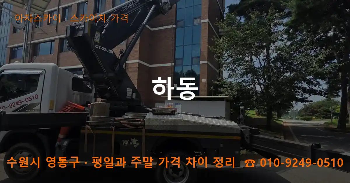 수원시 영통구 하동 스카이차 가격 작업