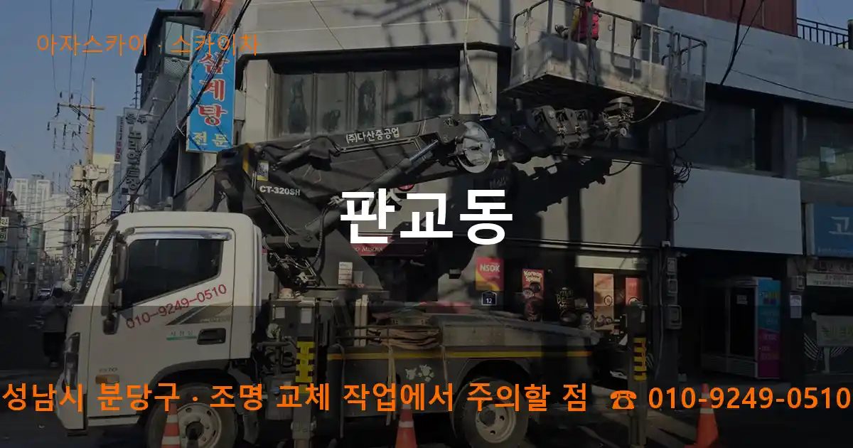 성남시 분당구 판교동 스카이차 작업