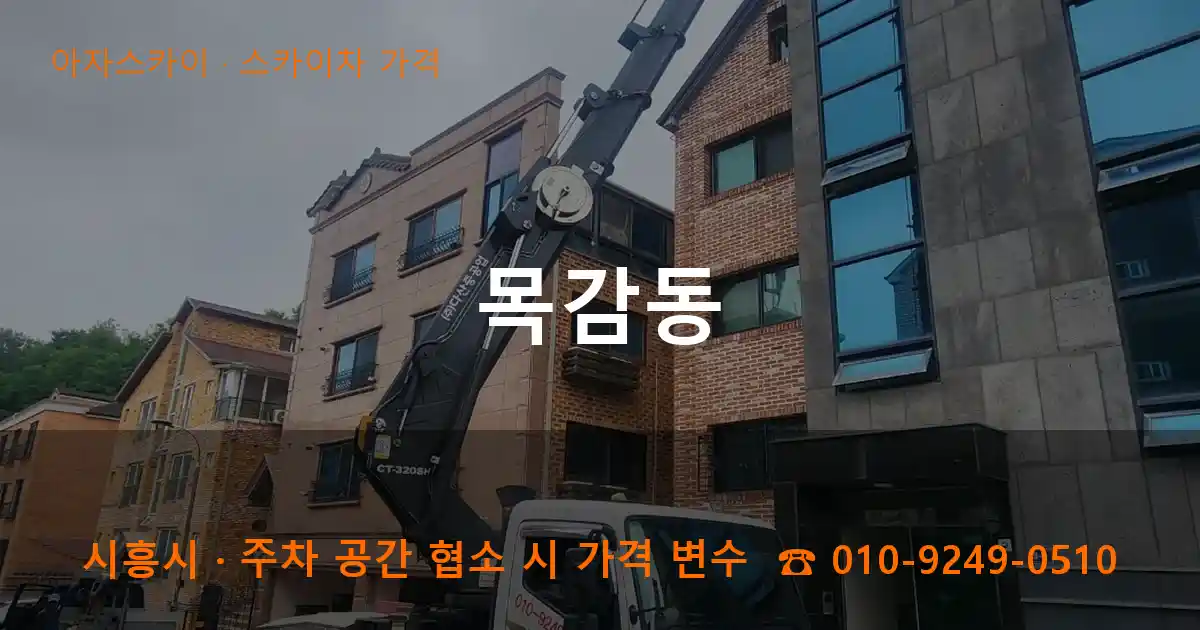 시흥시 목감동 스카이차 가격 작업