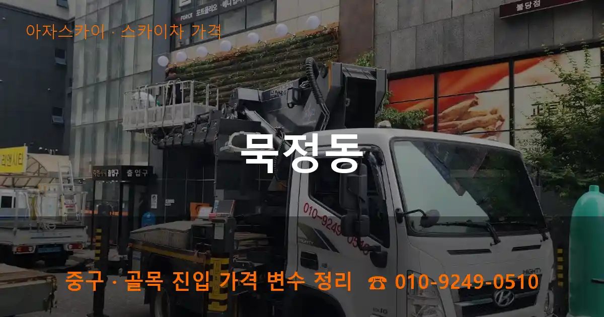 중구 묵정동 스카이차 가격 작업