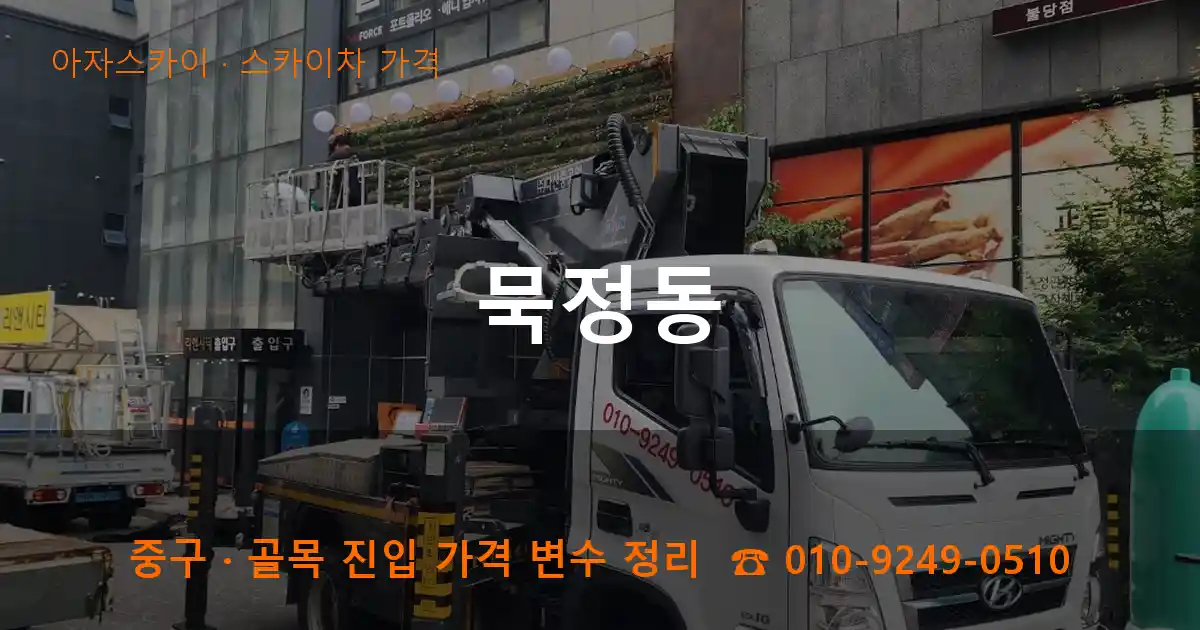 중구 묵정동 스카이차 가격 작업
