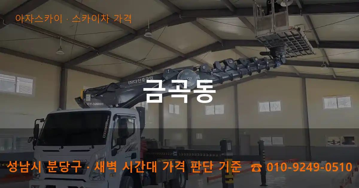 성남시 분당구 금곡동 스카이차 가격 작업