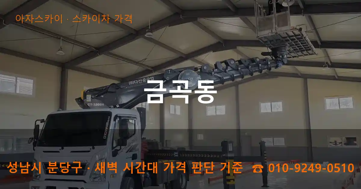 성남 분당구 금곡동 스카이차 가격 작업