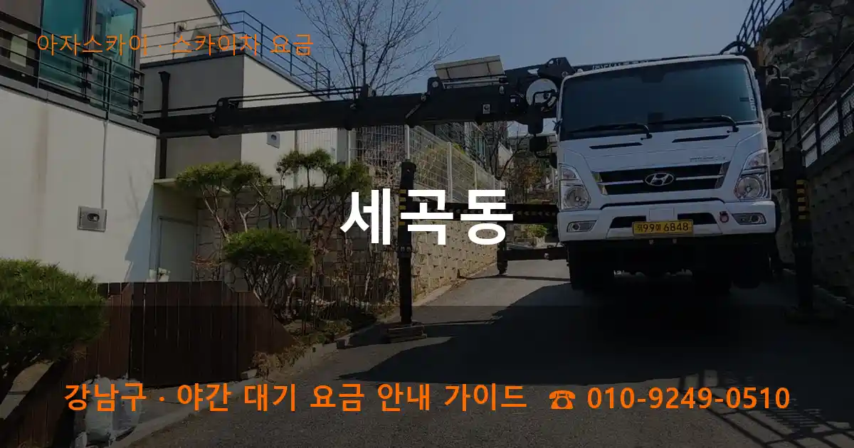 강남구 세곡동 스카이차 요금 작업