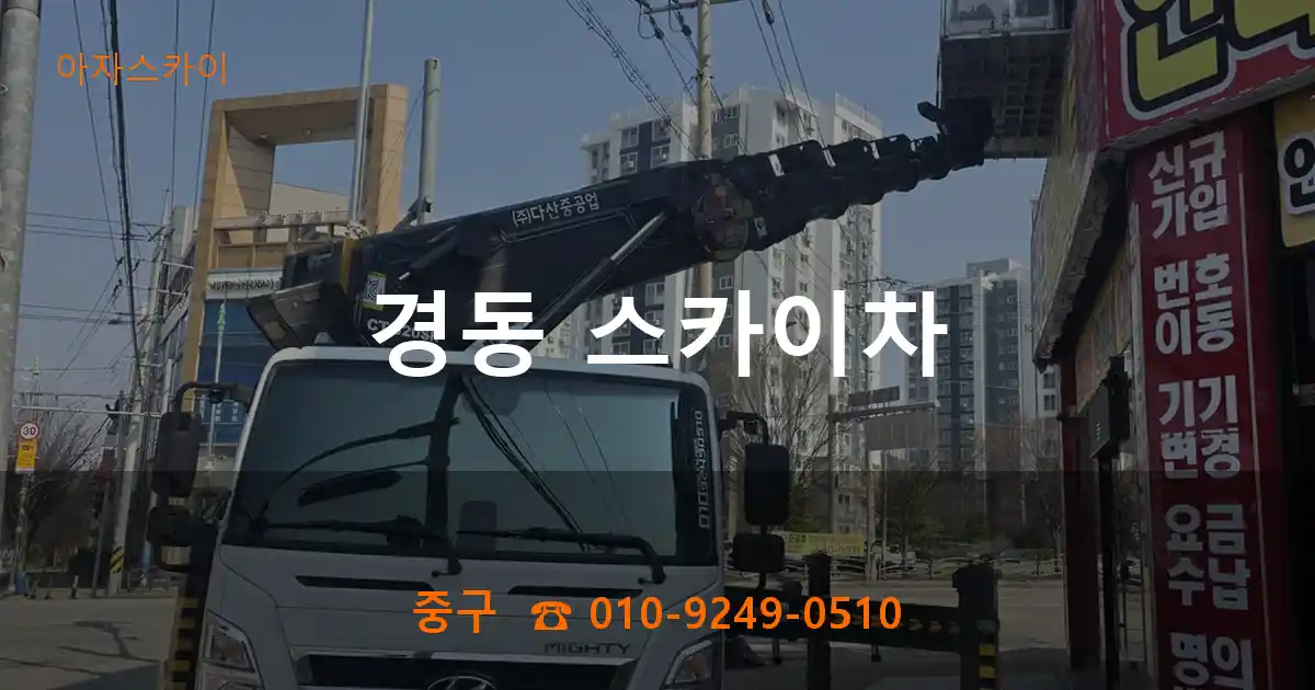 중구 경동 스카이차