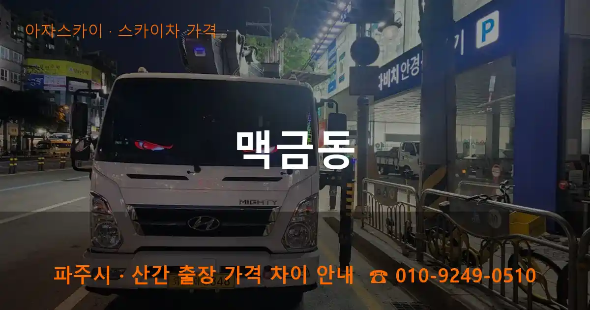 파주 맥금동 스카이차 가격 작업