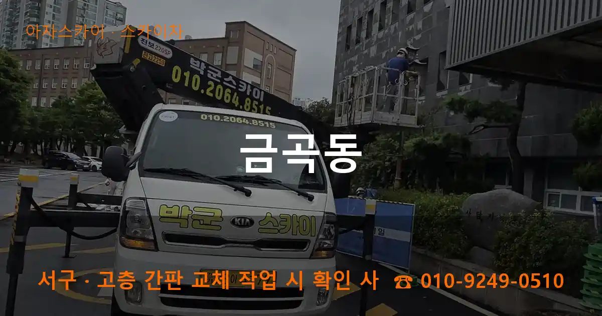 서구 금곡동 스카이차 작업