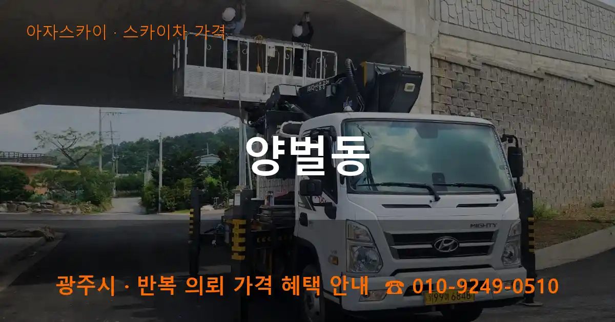 광주시 양벌동 스카이차 가격 작업