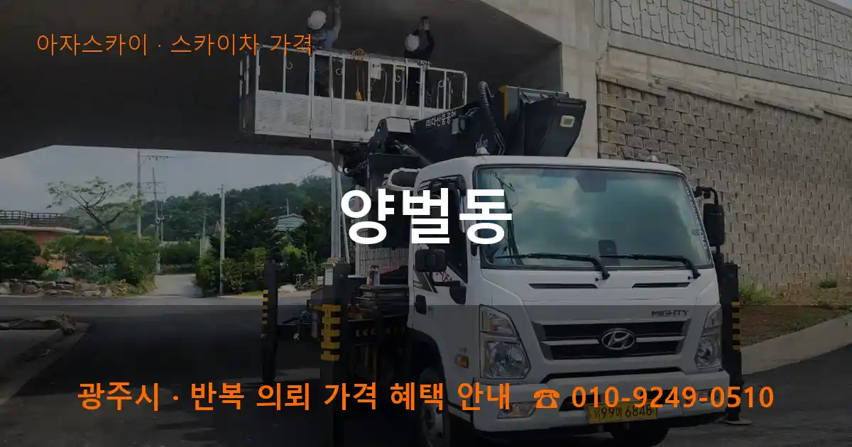 광주 양벌동 스카이차 가격 작업