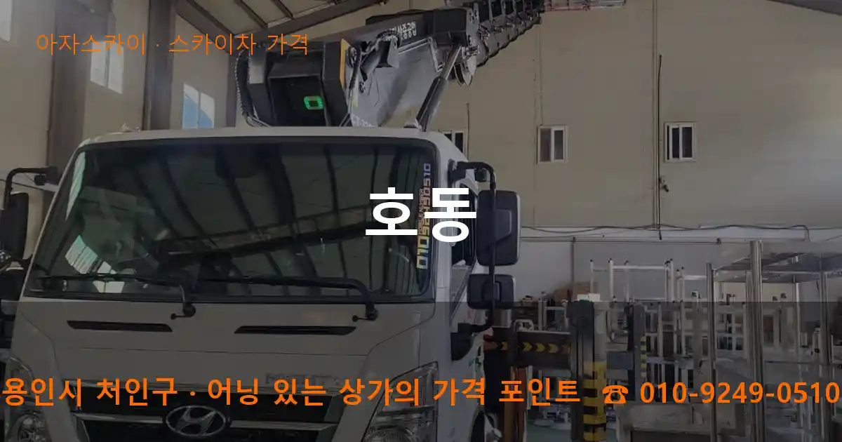 용인시 처인구 호동 스카이차 가격 작업
