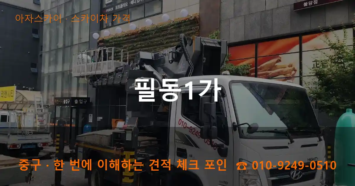 중구 필동1가 스카이차 가격 작업