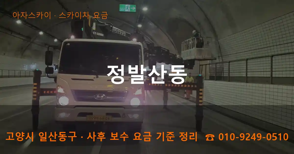 고양 일산동구 정발산동 스카이차 요금 작업