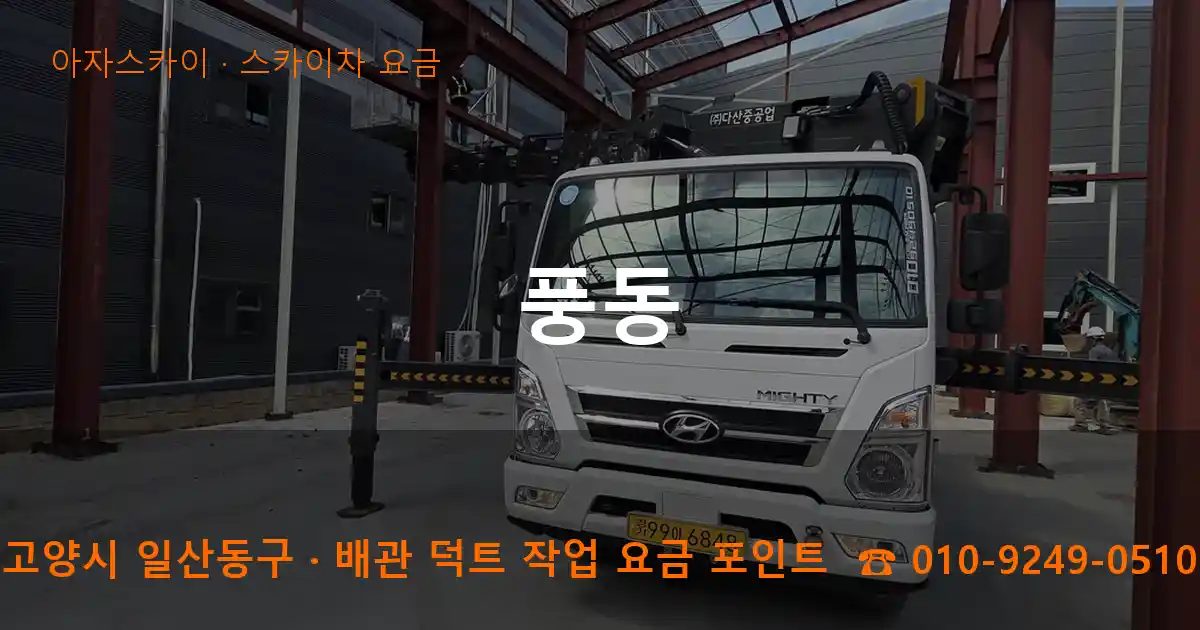 고양시 일산동구 풍동 스카이차 요금 작업