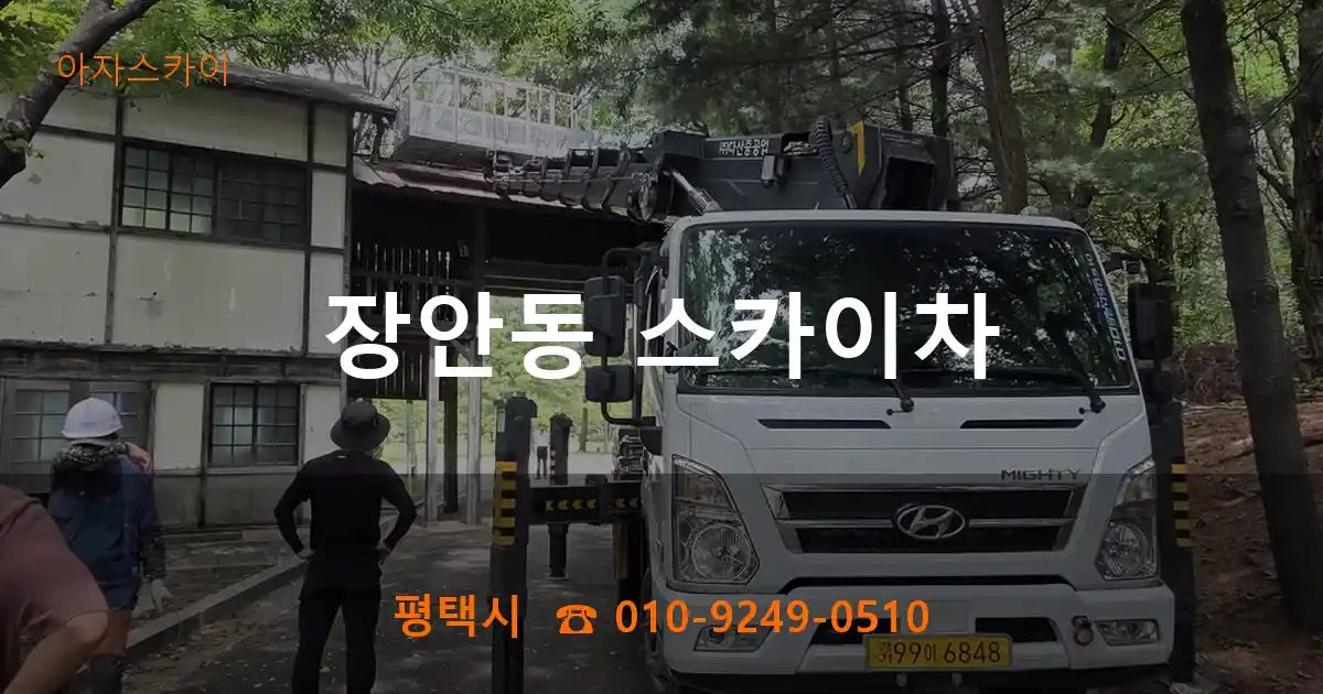 평택시 장안동 스카이차