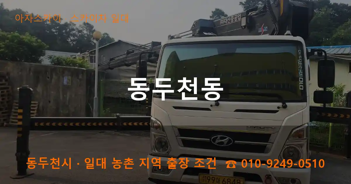 동두천 동두천동 스카이차 일대 작업