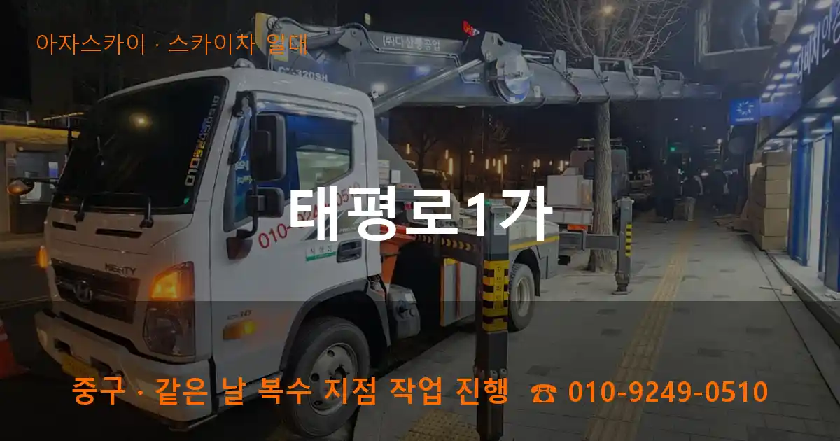 중구 태평로1가 스카이차 일대 작업