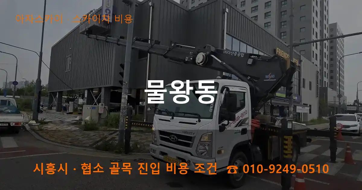 시흥시 물왕동 스카이차 비용 작업